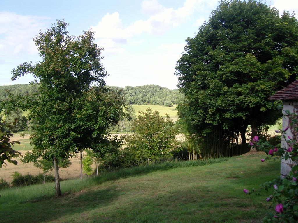 Gite De Serre Le Grand-Pressigny Habitación foto
